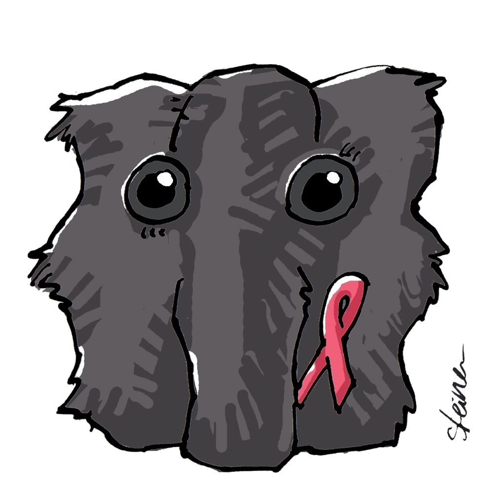 Illustration: Elke R. Steiner - steinercomix.de