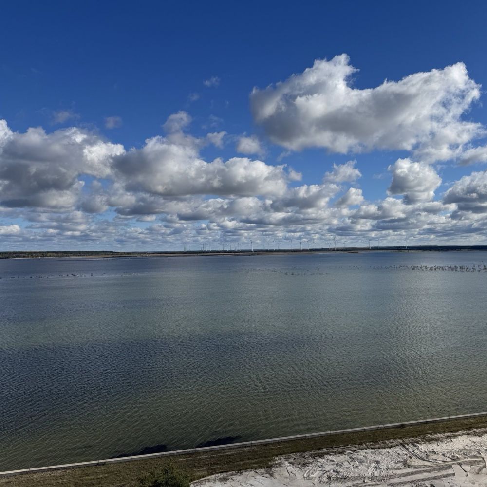 Foto: CSD Cottbus e.V.