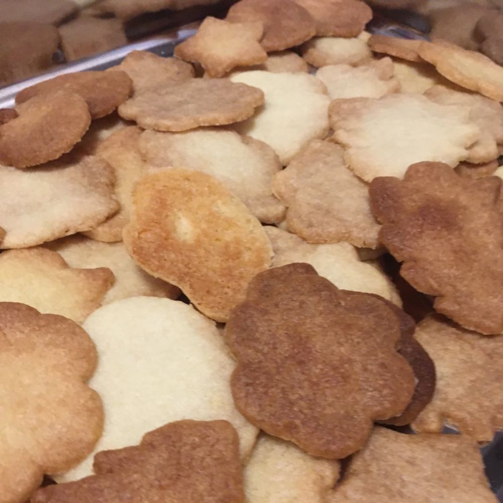 Foto: CSD Cottbus e.V.