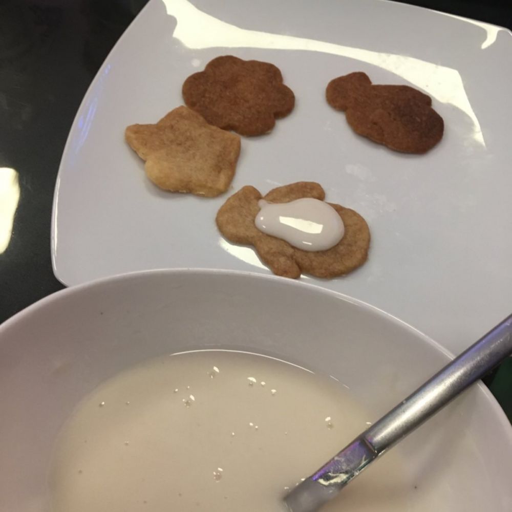 Foto: CSD Cottbus e.V.