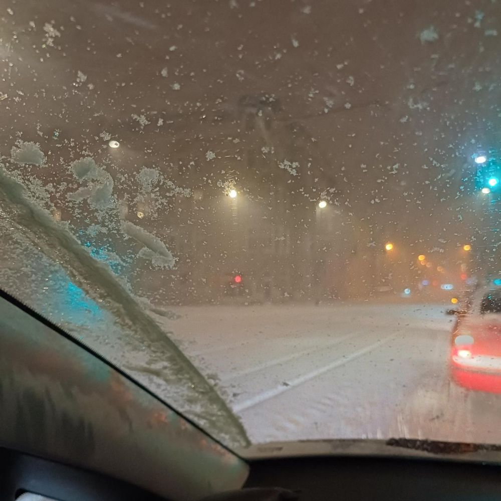 Foto: CSD Cottbus e.V.