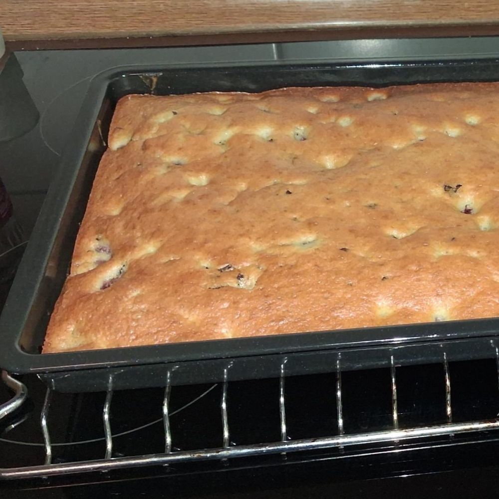 Foto: CSD Cottbus e.V.