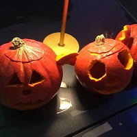 Foto: CSD Cottbus e.V.