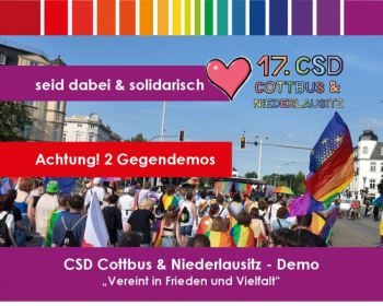CSD - Demo